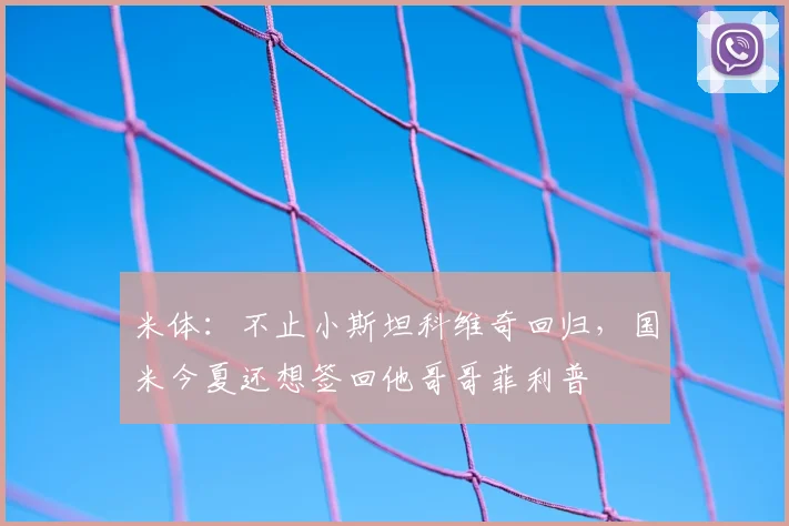 米体：不止小斯坦科维奇回归，国米今夏还想签回他哥哥菲利普